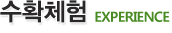 수확체험