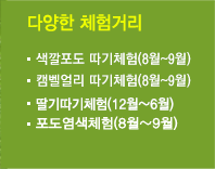  포도따기체험(8월~9월)
딸기따기체험(12월~6월)
토마토따기체험(12월~4월)
배따기체험(10월중순)