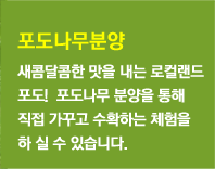  포도따기체험(8월~9월)
딸기따기체험(12월~6월)
토마토따기체험(12월~4월)
배따기체험(10월초)