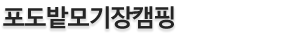 포도밭모기장캠핑