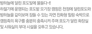 최신숙박시설과 밤하늘에 달린 포도빛에 물들다~!! 하절기에  운영되는 포도밭 모기장 캠핑은 천정에 달린 포도와 밤하늘을 같이 보며 잠들 수 있는 자연 친화형 
힐링 숙박 시설입니다.